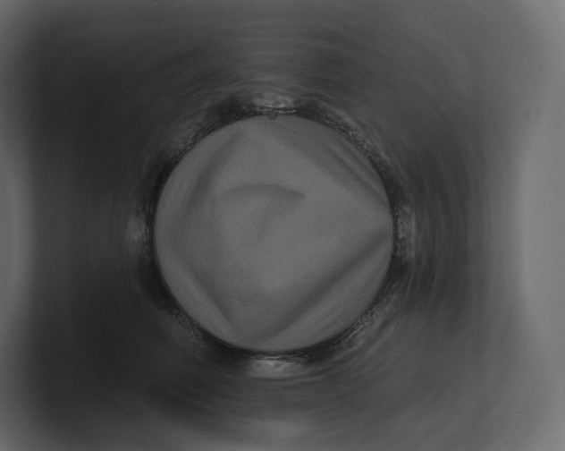 X0000100890614200807151058