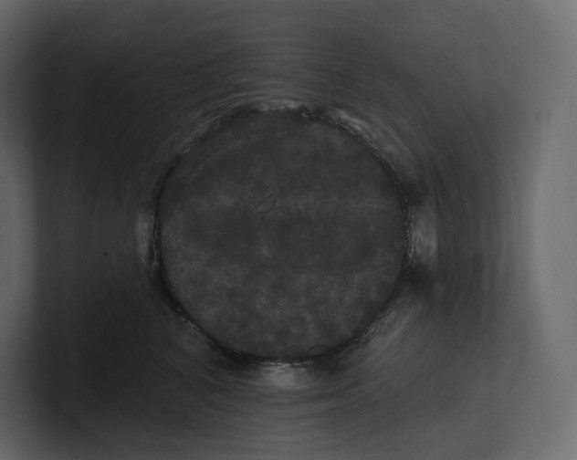 X0000100890616200807151058