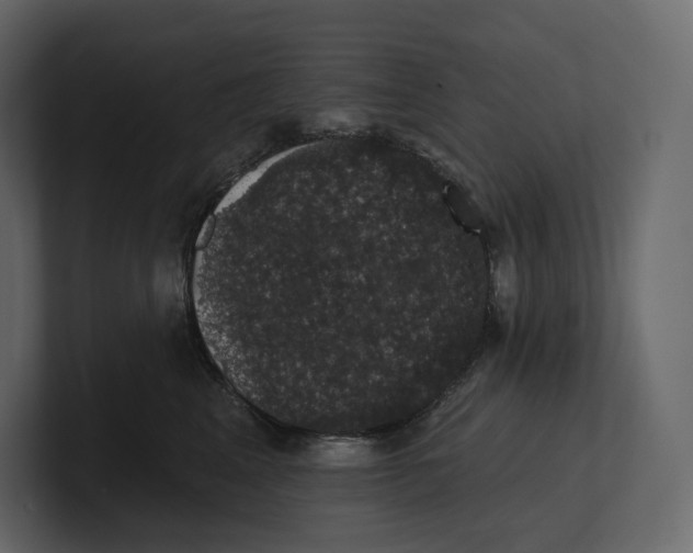 X0000100890617200807151058