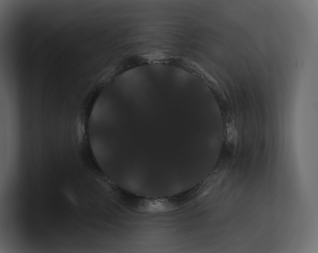 X0000100890618200807151058