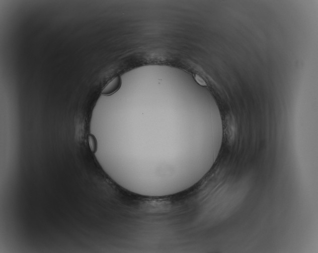 X0000100890619200807151058