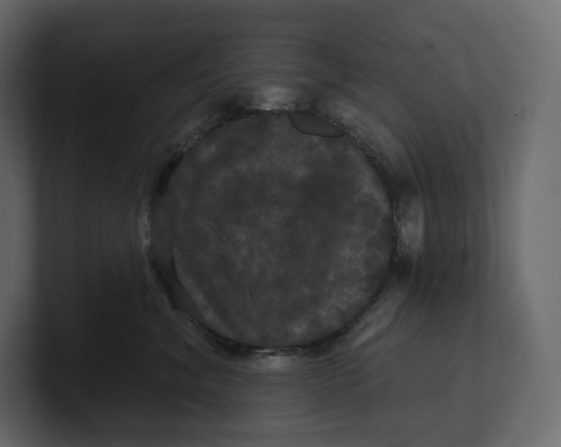 X0000100890620200807151058