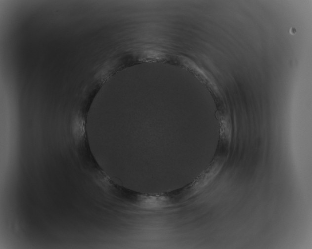 X0000100890621200807151058