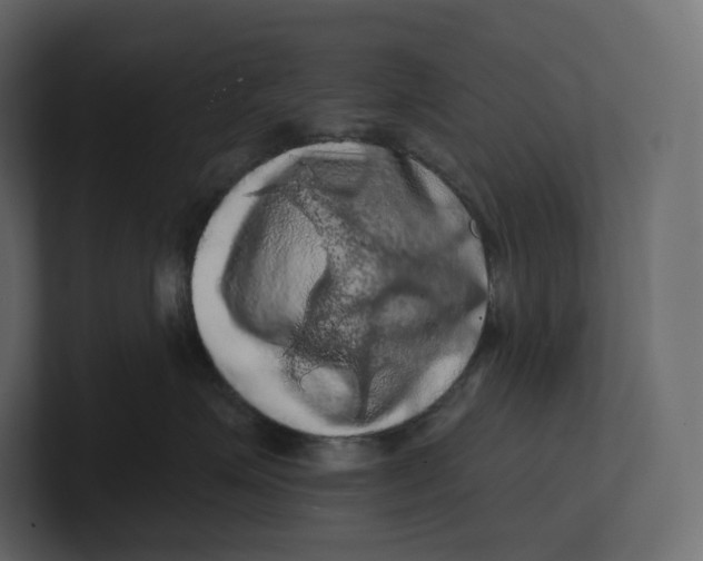 X0000100890623200807151058