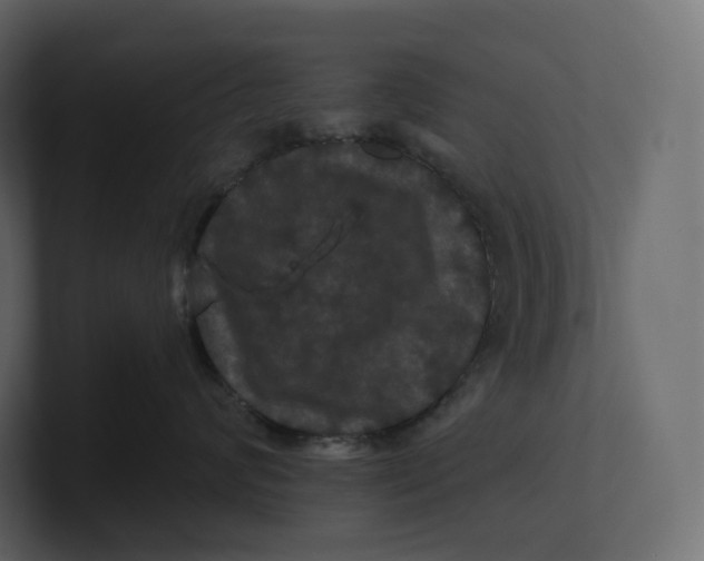 X0000100890624200807151058