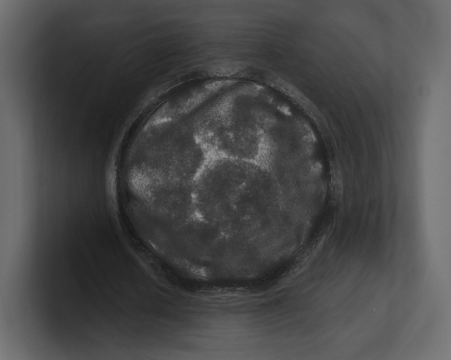 X0000100890626200807151057