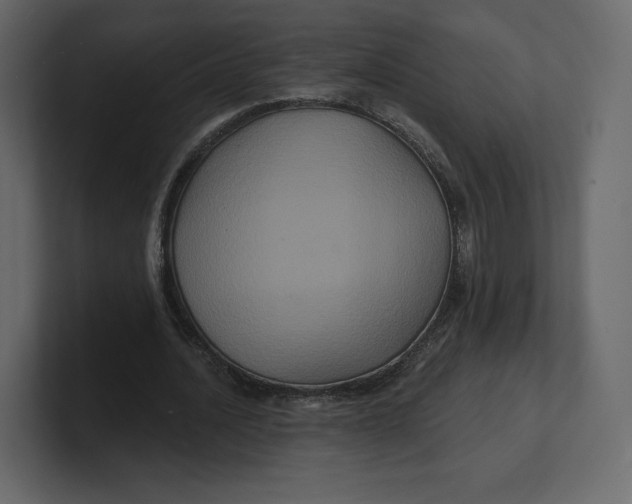 X0000100890628200807151057