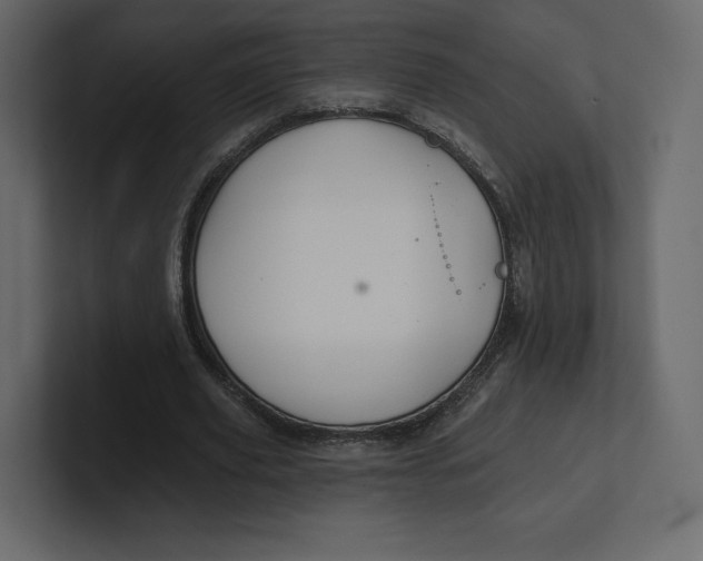 X0000100890629200807151057