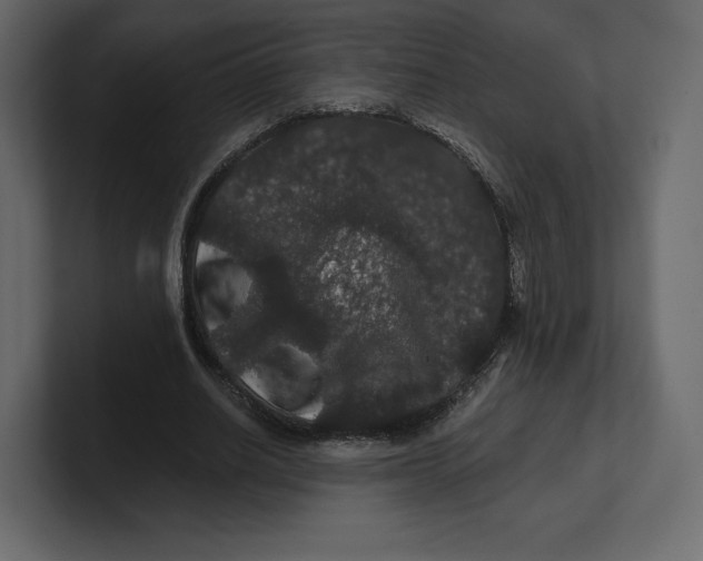 X0000100890630200807151057