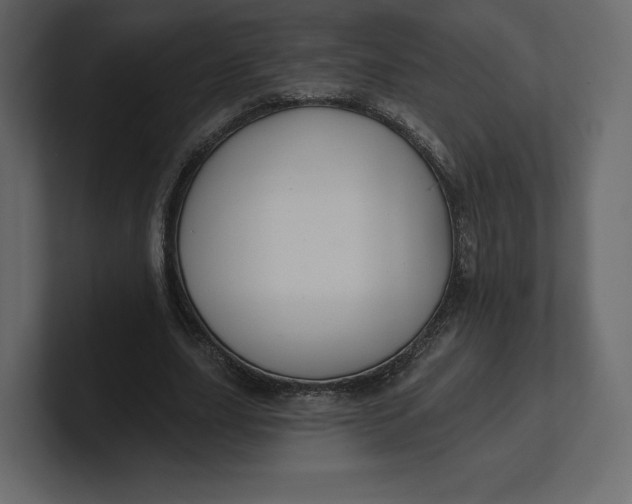 X0000100890631200807151057