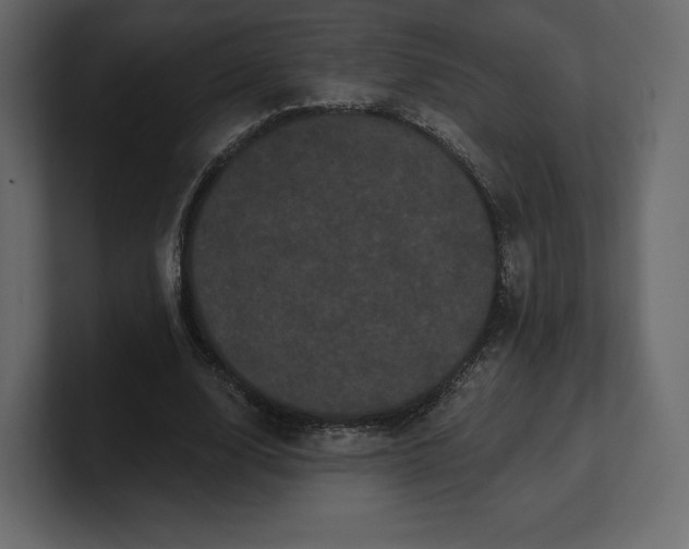 X0000100890632200807151058