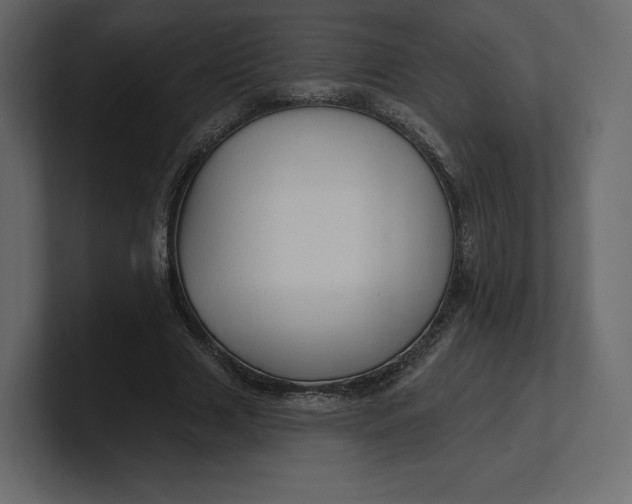 X0000100890633200807151058