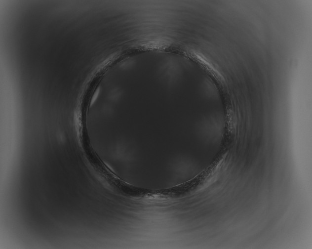 X0000100890634200807151058