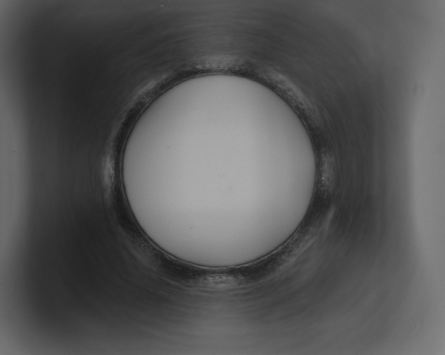 X0000100890636200807151058