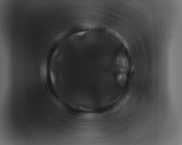 X0000100890637200807151058