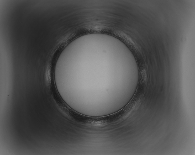 X0000100890638200807151058