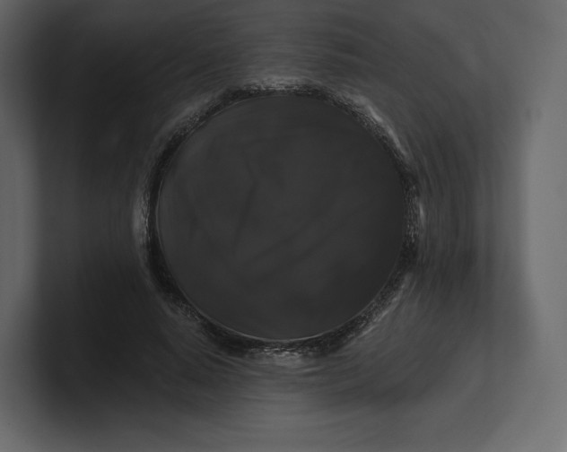 X0000100890640200807151058