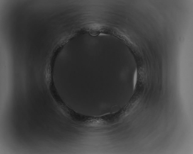 X0000100890642200807151058