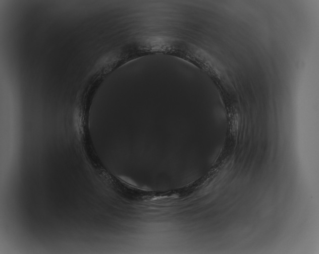 X0000100890643200807151058