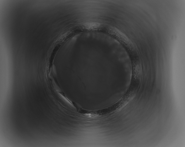 X0000100890644200807151058