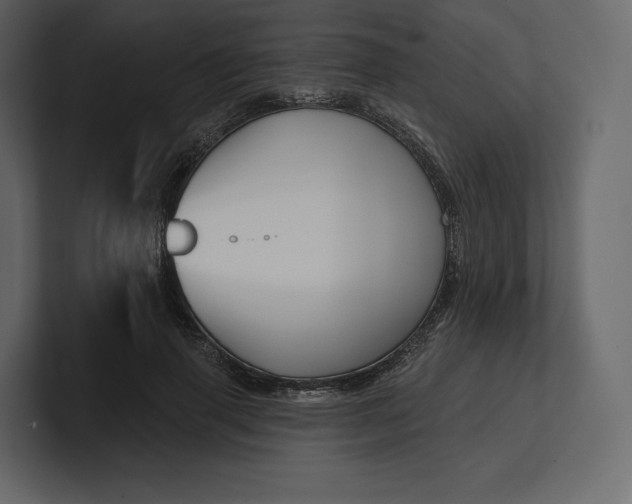 X0000100890645200807151058