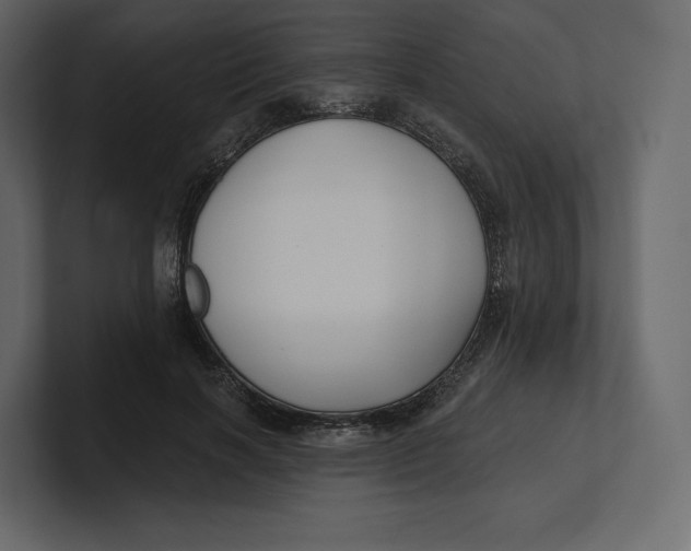 X0000100890646200807151058