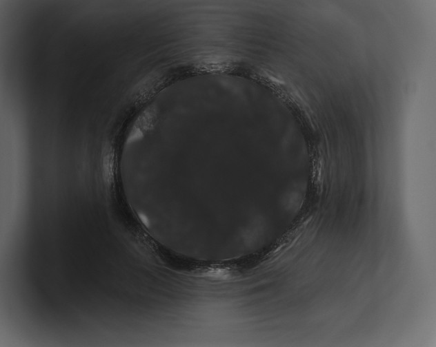 X0000100890647200807151058