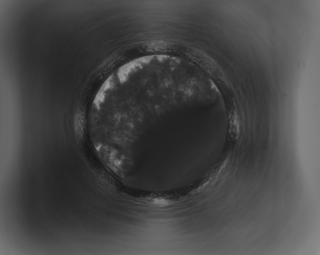 X0000100890648200807151058