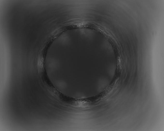 X0000100890650200807151058