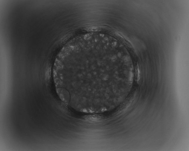 X0000100890652200807151058