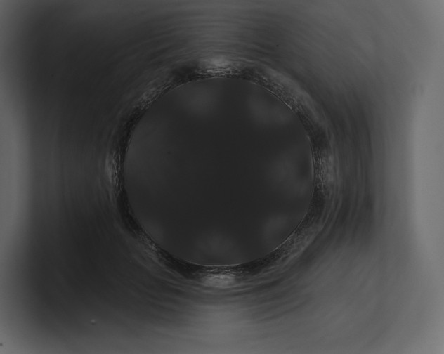 X0000100890653200807151058