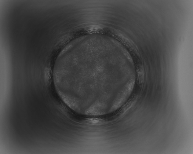 X0000100890654200807151058