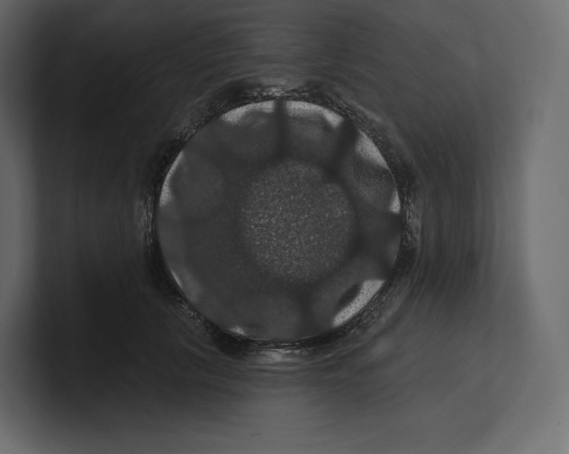 X0000100890657200807151058