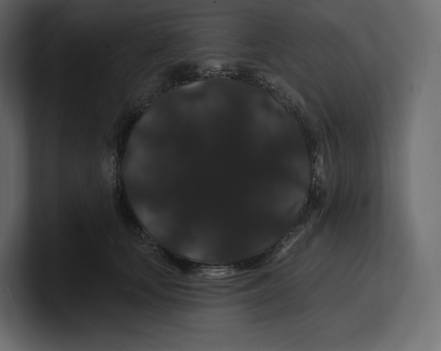 X0000100890659200807151058