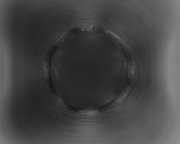 X0000100890661200807151058