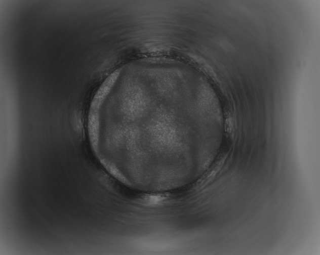 X0000100890662200807151058