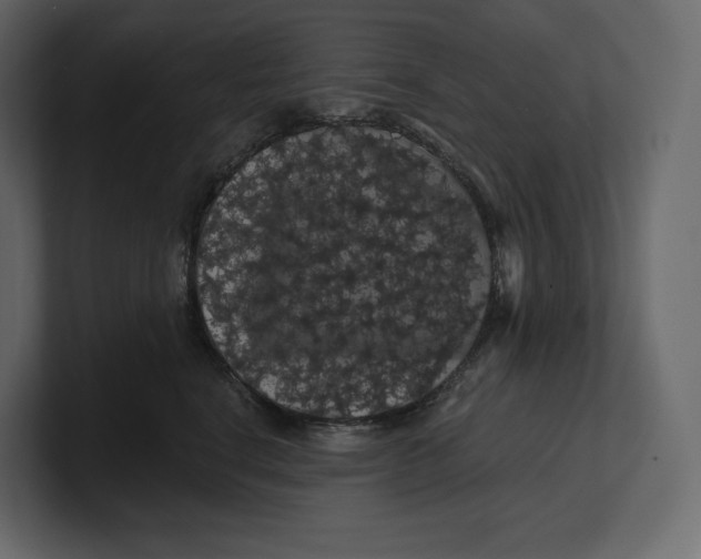 X0000100890664200807151058