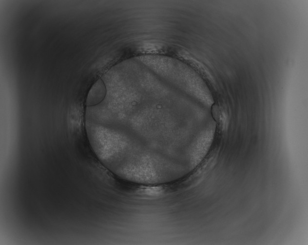 X0000100890665200807151058