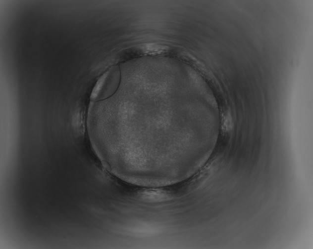 X0000100890666200807151058