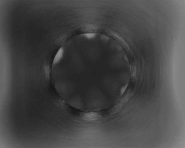 X0000100890669200807151058