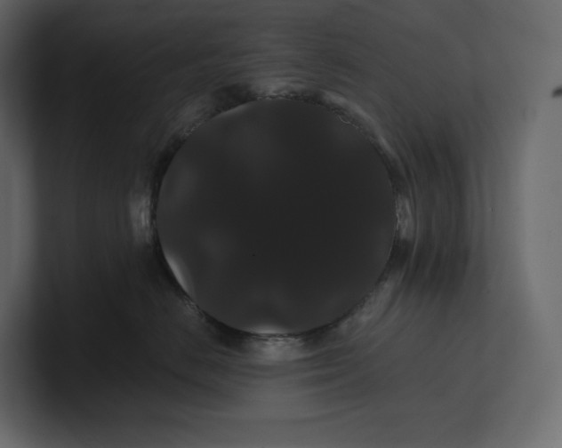 X0000100890670200807151058