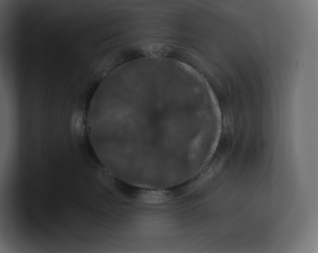 X0000100890671200807151058