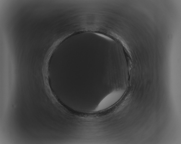 X0000100890673200807151057