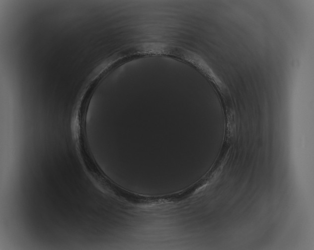 X0000100890674200807151057