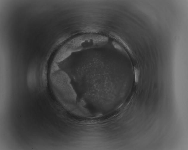 X0000100890675200807151057