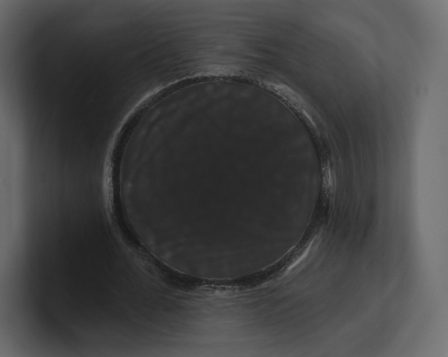 X0000100890676200807151057