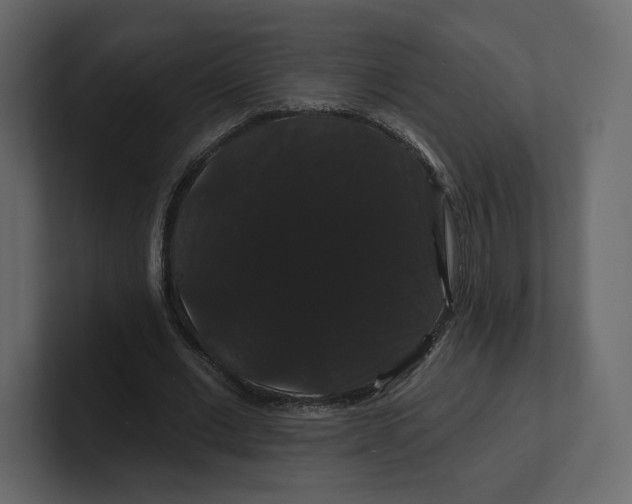 X0000100890677200807151057