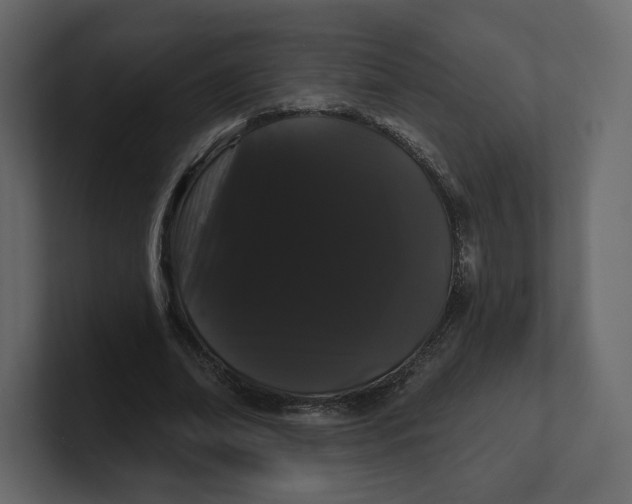 X0000100890678200807151057