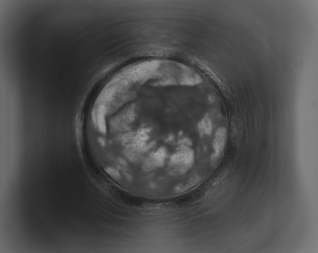 X0000100890679200807151057