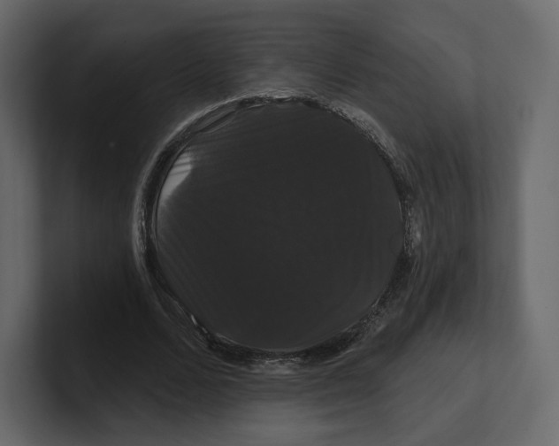 X0000100890680200807151057